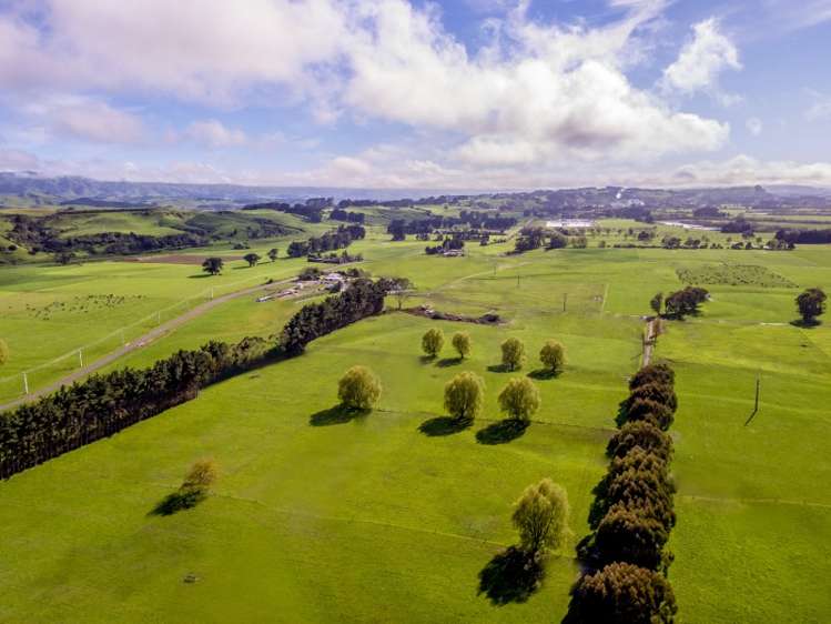 418 Scarborough Road Pahiatua_14