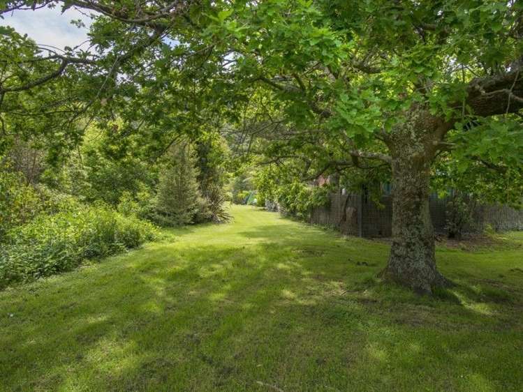 5 Thompson Place Anakiwa and Surrounds_21