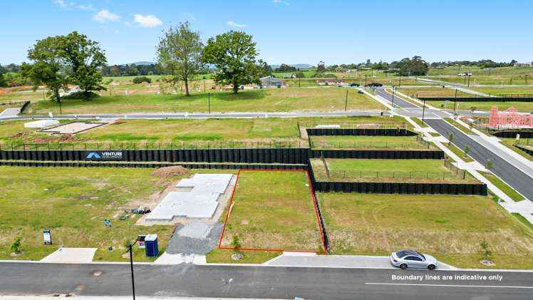 27 Halo Green Peacocke_6