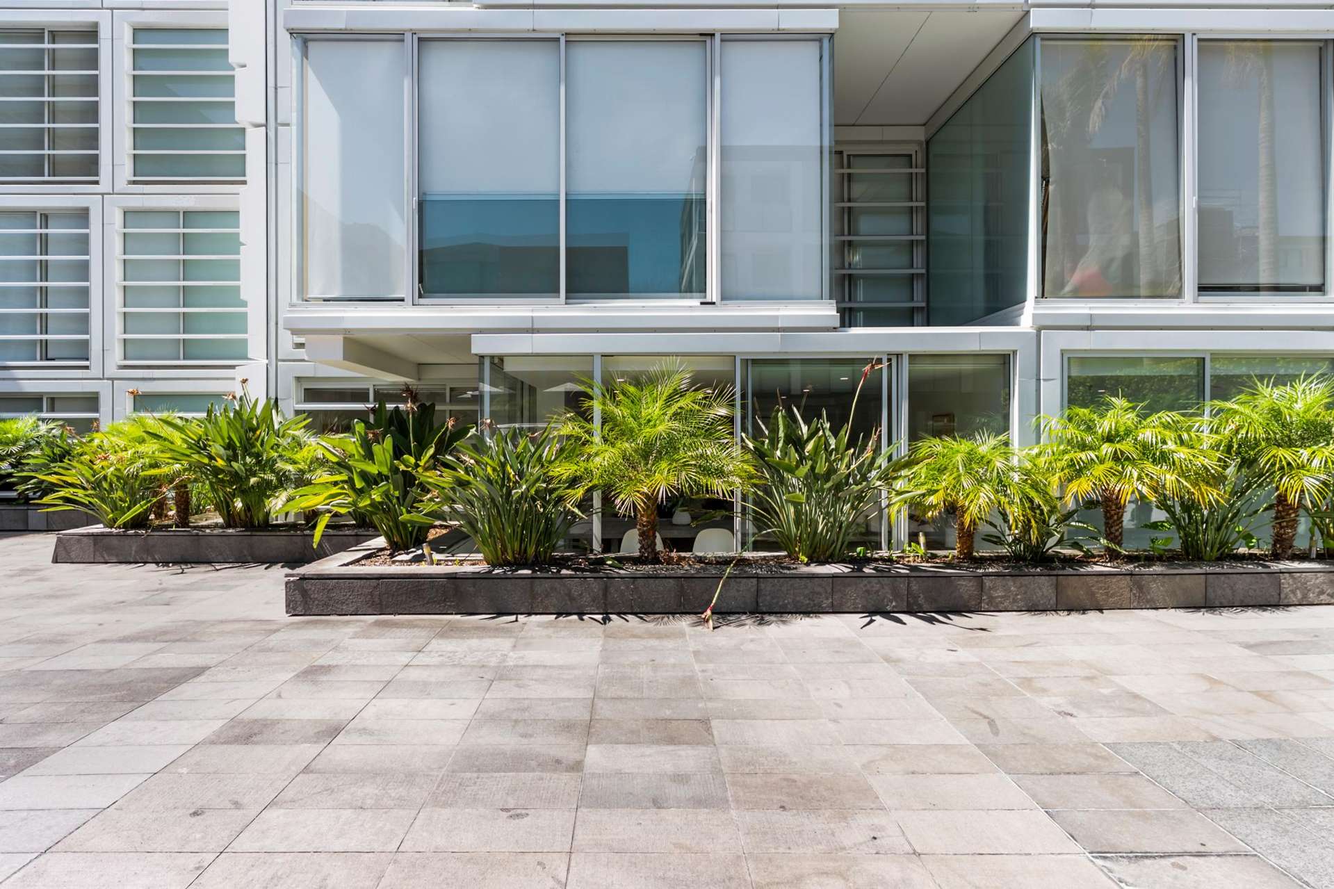 201/83 Halsey Street Auckland Central_0
