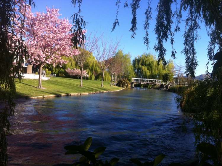 24 Gee Street Renwick_20