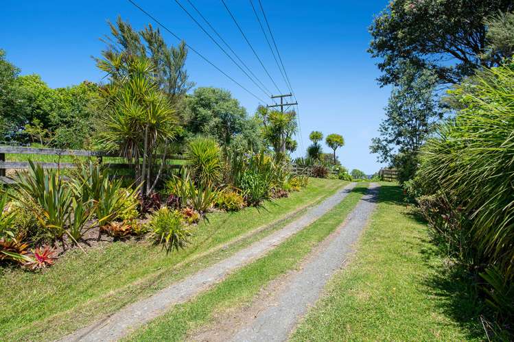 56a Kaipara Coast Highway Helensville_30