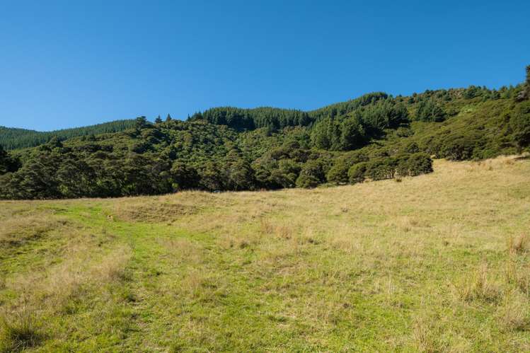 5552 Kenepuru Road Waitaria Bay_24