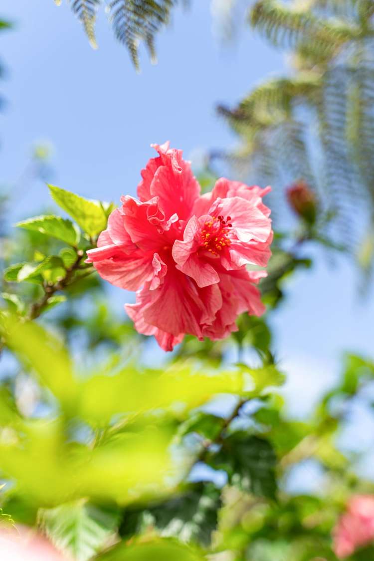 21 Mangawhai Heads Road Mangawhai Heads_13