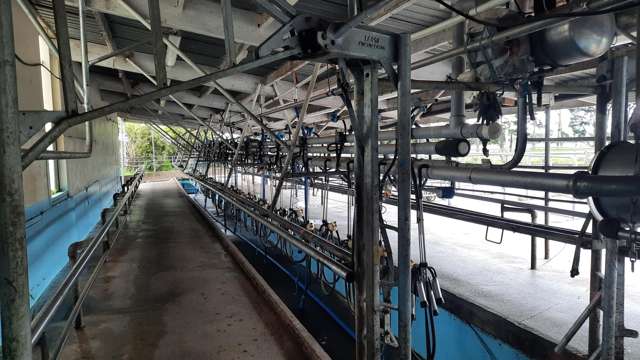 1040 Roberts Line Bunnythorpe_1