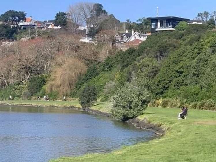 2/5A Tonks Street Remuera_6