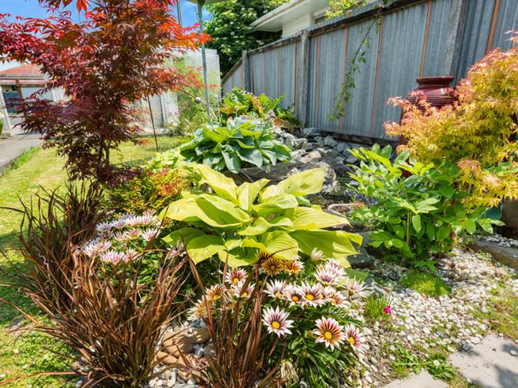 11 March Street Spring Creek_16