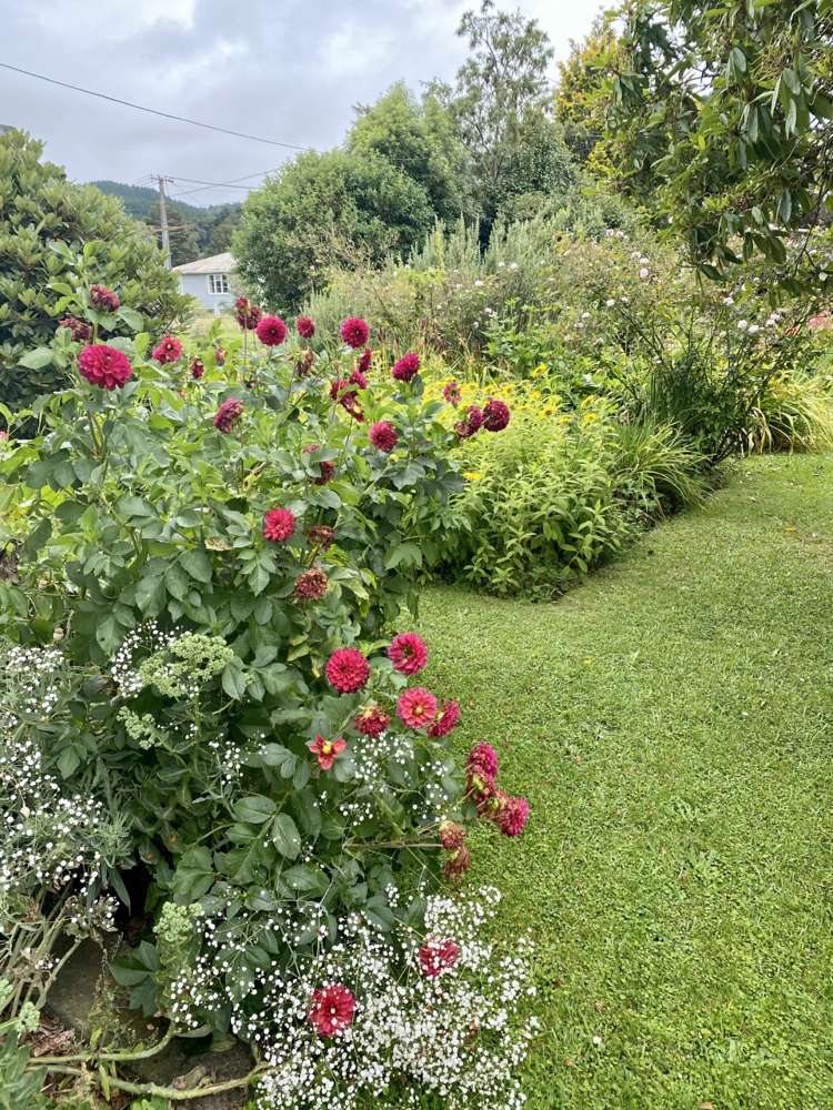 17 O'Reilly Crescent Taumarunui_7