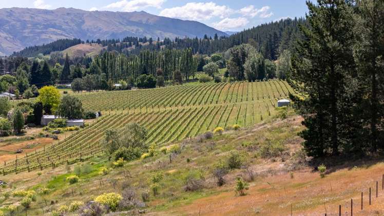 155 Dunstan Road Alexandra_3