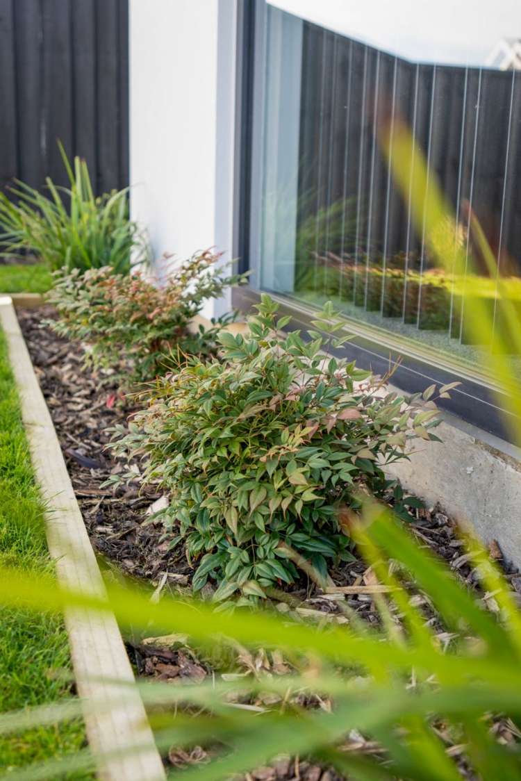 32 Collies Road Casebrook_21