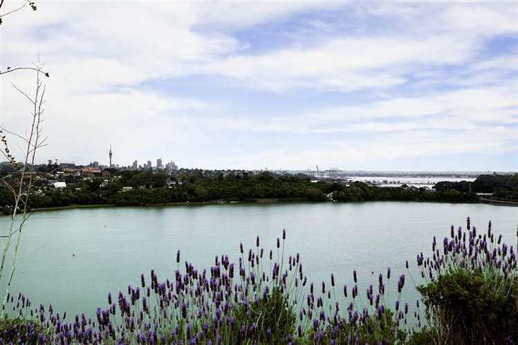 100 Lucerne Road Remuera_15