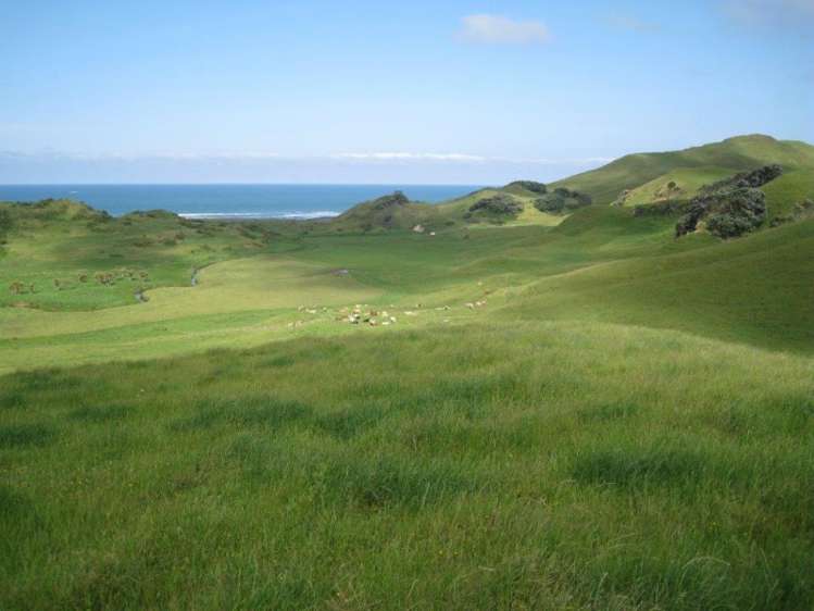 122 Kokonga West Road Waikaretu_5