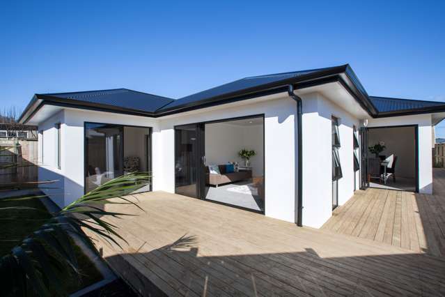 23 Ropiha Street Fitzroy_2