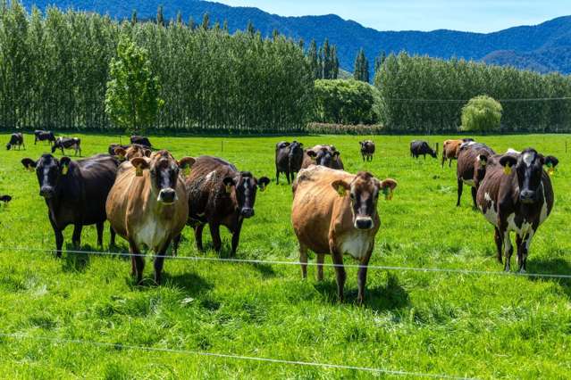 5301 State Highway 6 Havelock_2