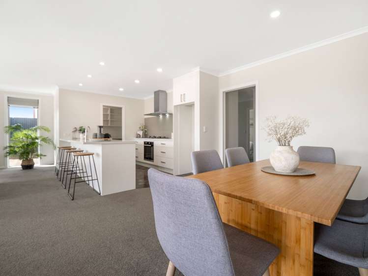 508A Mandeno Street_1