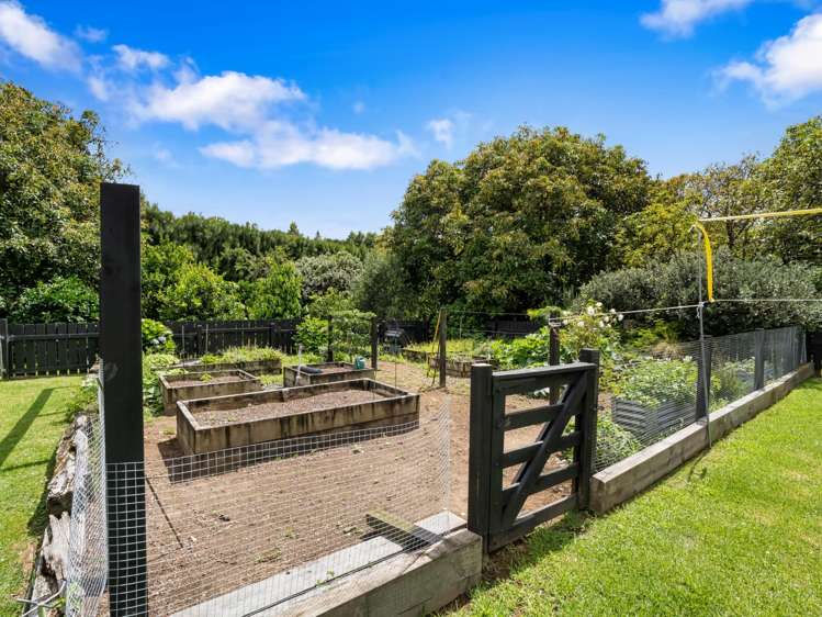 261 Wainui South Road Whakamarama_23
