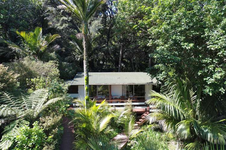 179 Shoal Bay Road Great Barrier Island_11