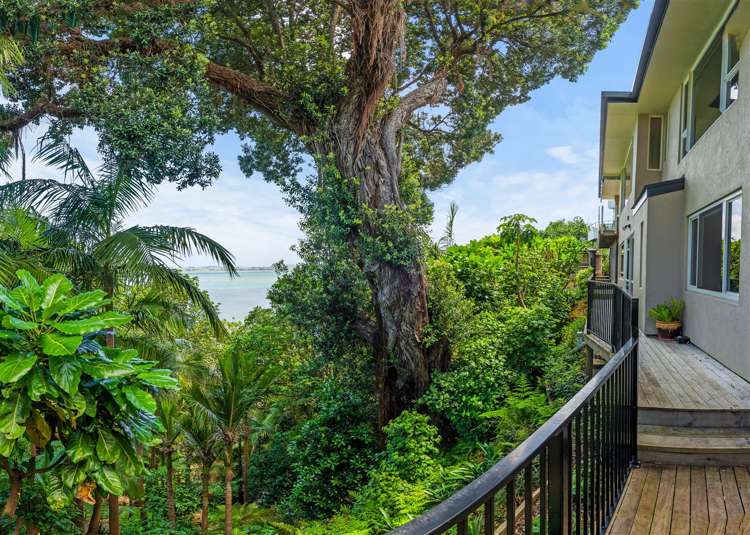 60 Scott Road Tamaterau_16