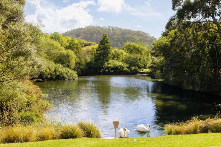 Andersons Cove Mangawhai_12