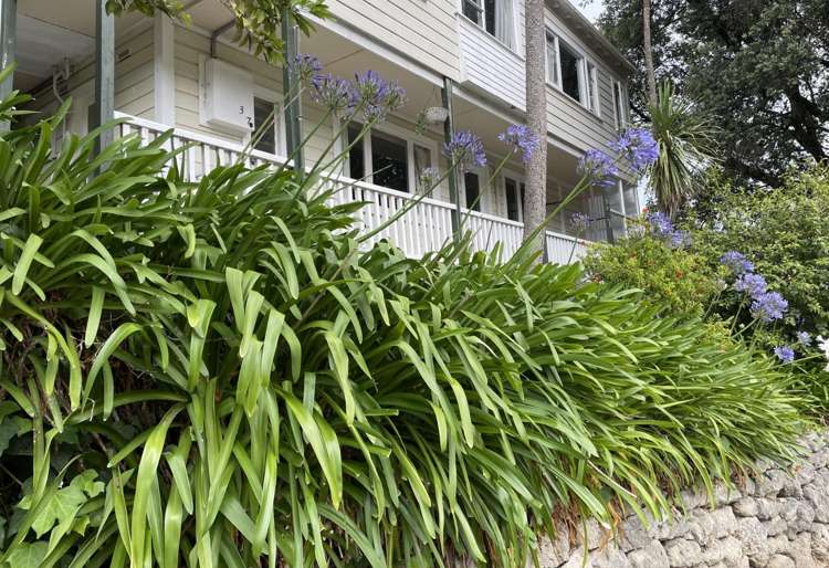 1/37 Faraday Street 10782_9