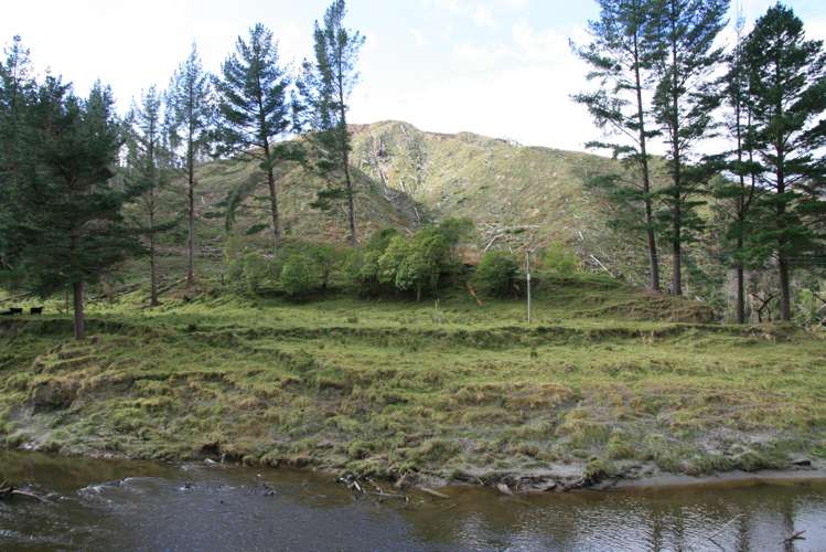 0n Makakaho Road Ngamatapouri_19