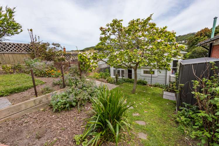 531 Adelaide Road Berhampore_13
