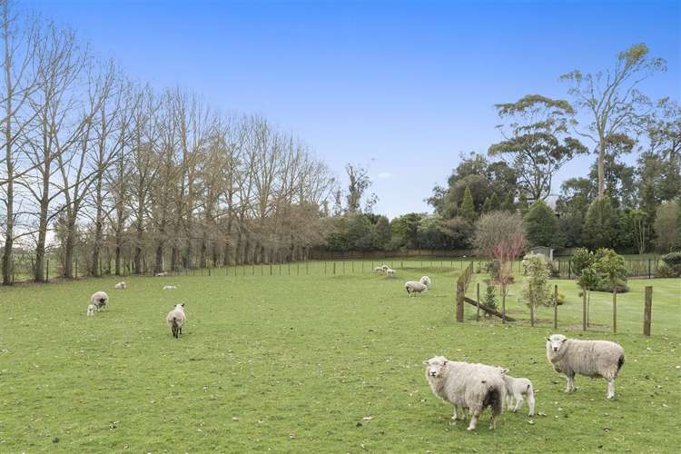 397 Airport Road Rukuhia_24