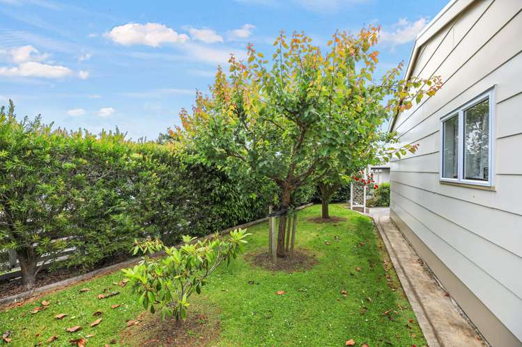 29 Keepa Avenue Paeroa_24