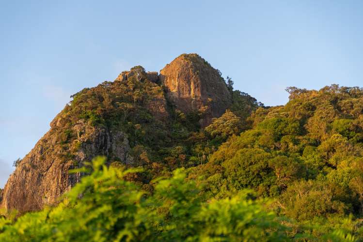 6 The Heights Whangarei Heads_42