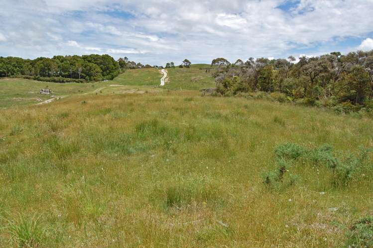 138 Rangiora Road Kaiwaka_13