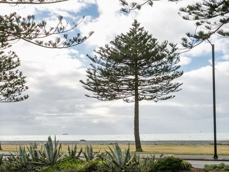 609 Marine Parade Napier South_9