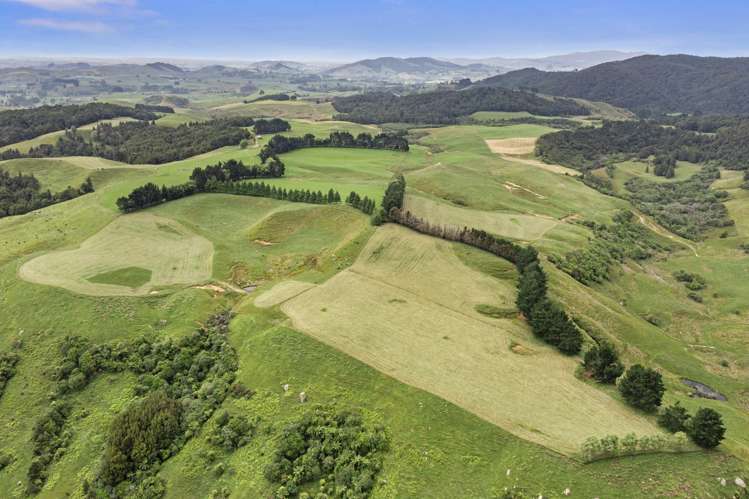 134 Millard Road Maihiihi_5