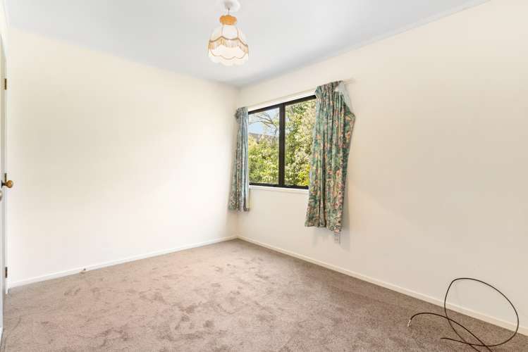 34 Marewa Road Greenlane_12