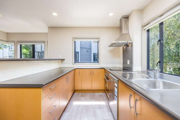 5 Dovedale Place Parnell_10