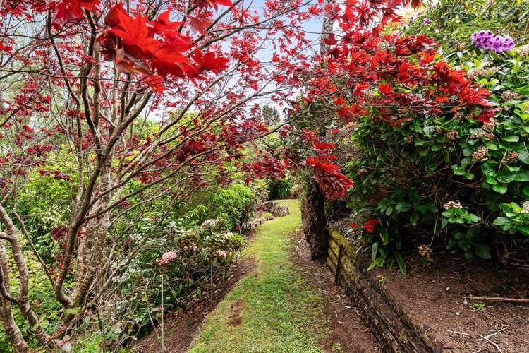 Lot 1,118B Wairau Road Oakura_12