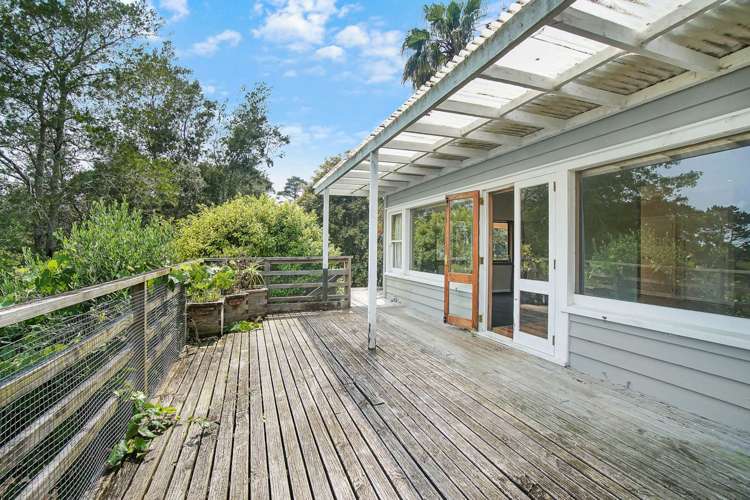 50 Potter Road Dairy Flat_12