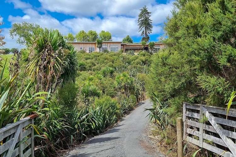 51 Moses Road Kaukapakapa_30