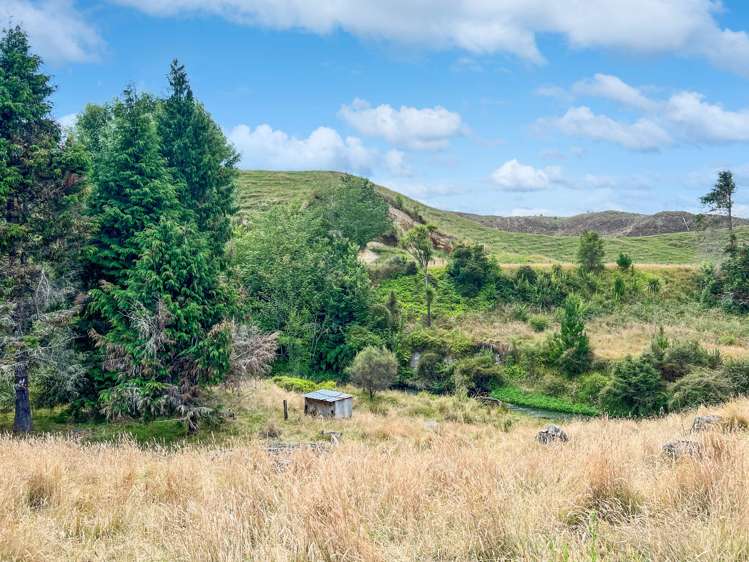 9c Mangaone Road Rotoma_23