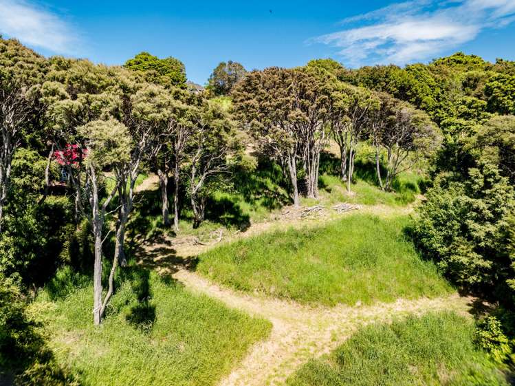 24 Fred Hollows Way Glenleith_13