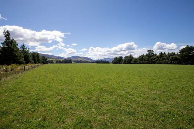 Kowai Road Springfield_4