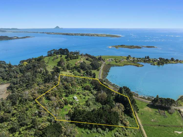 93 Loop Road Ohiwa_16