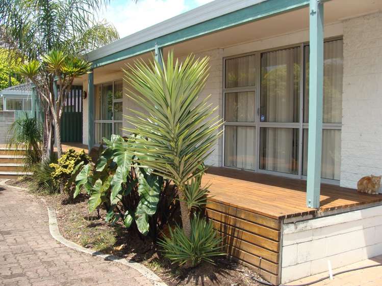 19 Tainui Street Matua_10