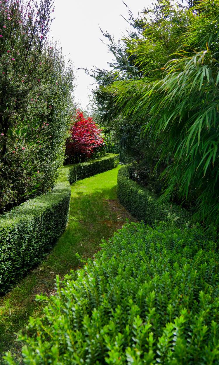 104 Kawai Street Nelson South_3