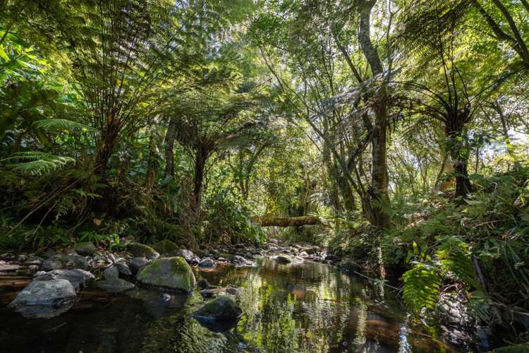 210F Kerikeri Inlet Road Kerikeri_33