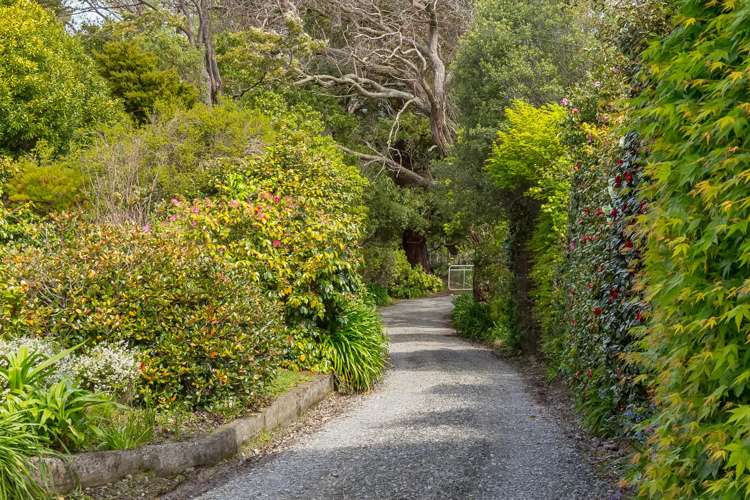 582 Bluff Rangitumau Road Rangitumau_6