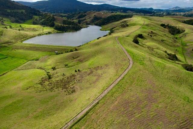 1557 Waihue Road Dargaville Surrounds_3