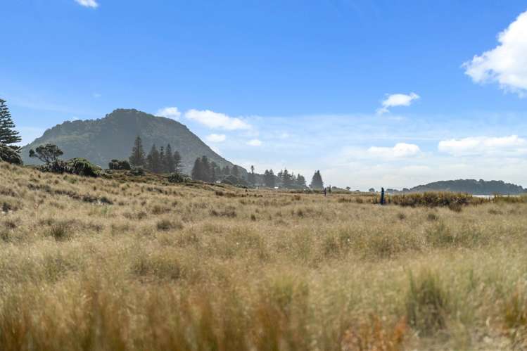 169A Marine Parade Mt Maunganui_33