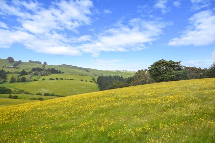 262 Highcliff Road Shiel Hill_21