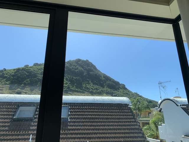 5 The Mall,  Apt 10, The Capri Resort Mt Maunganui_2