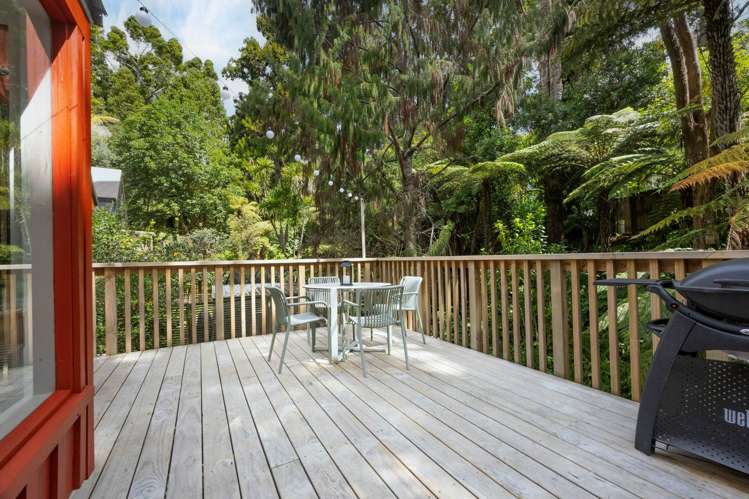 113a Daffodil Street Titirangi_12